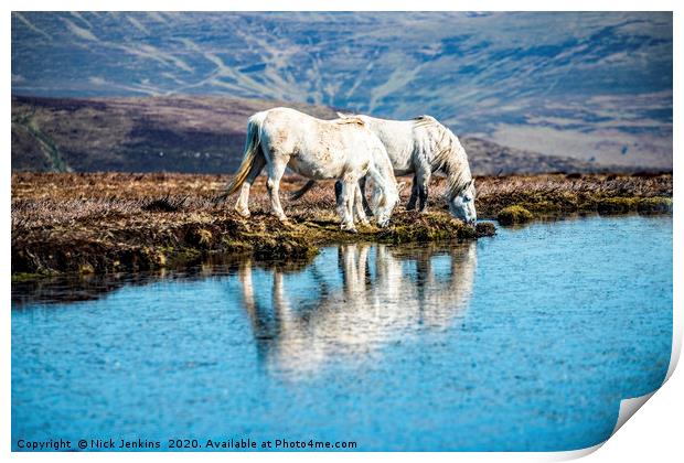 Two White Horses Mynydd Llangorse Brecon Beacons Print by Nick Jenkins