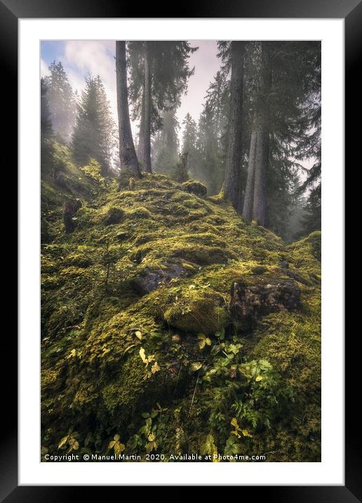 Enchanted Forest Framed Mounted Print by Manuel Martin