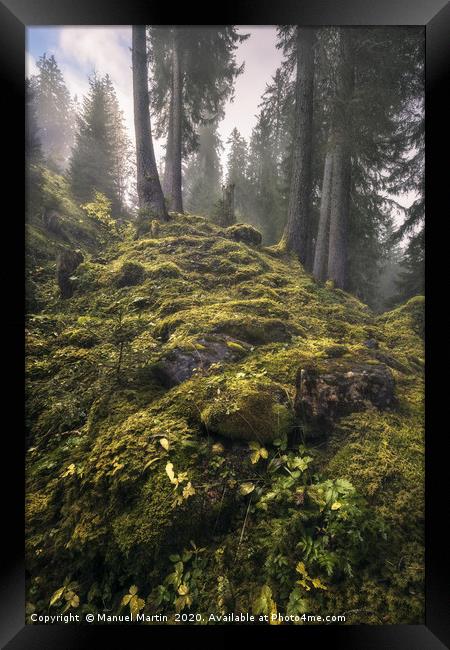 Enchanted Forest Framed Print by Manuel Martin