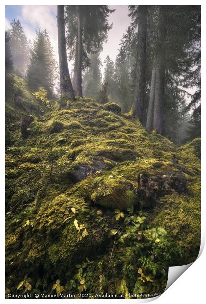 Enchanted Forest Print by Manuel Martin