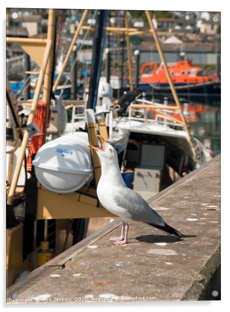 Herring Gull Squawking Newlyn Harbour Acrylic by Nick Jenkins