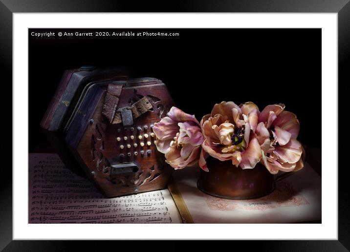 The Concertina and the Tulips Framed Mounted Print by Ann Garrett