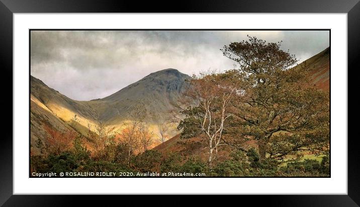" Autumn Trees at Great Gable 3" Framed Mounted Print by ROS RIDLEY