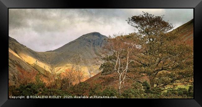 " Autumn Trees at Great Gable 3" Framed Print by ROS RIDLEY