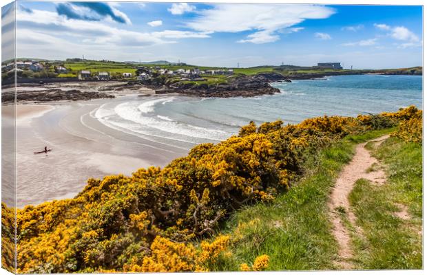 Spring Views around Caemes Bay with the gorse out  Canvas Print by Gail Johnson