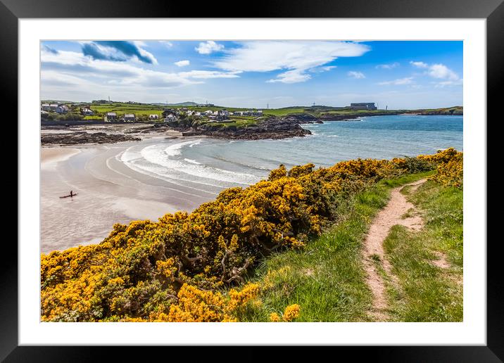 Spring Views around Caemes Bay with the gorse out  Framed Mounted Print by Gail Johnson