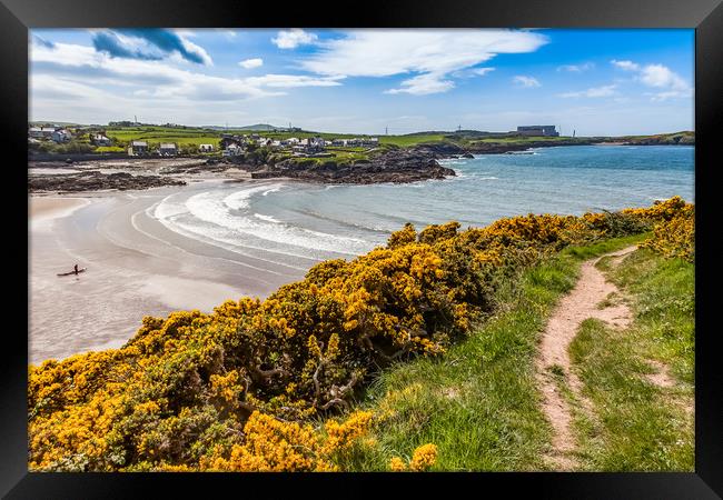 Spring Views around Caemes Bay with the gorse out  Framed Print by Gail Johnson