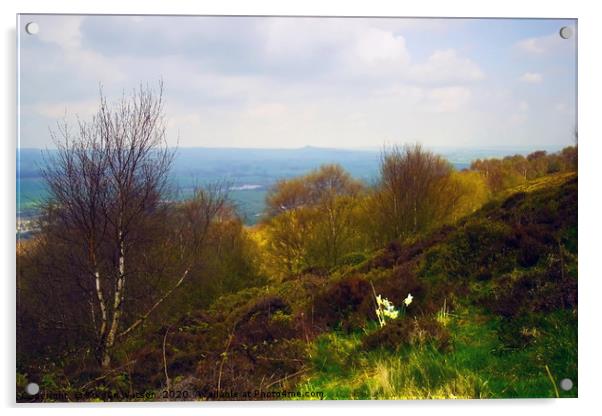 From Otley Chevin 2 Acrylic by Steven Watson