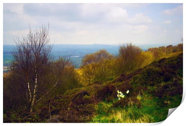 From Otley Chevin 2 Print by Steven Watson