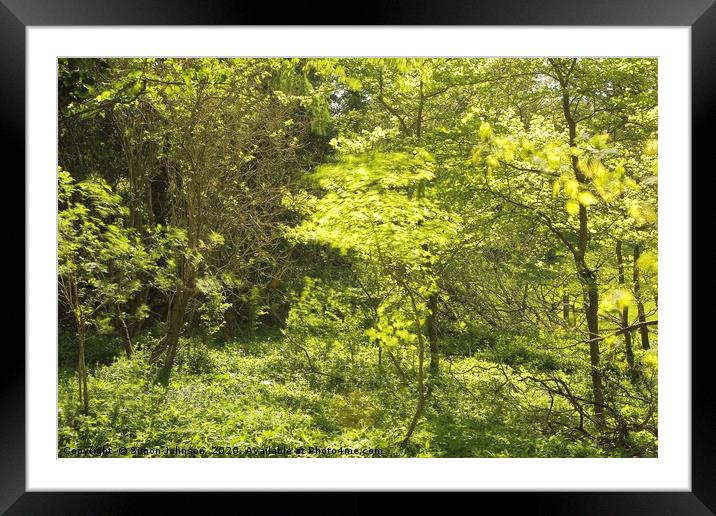 Spring green, stiff breeze, strong sunlight Framed Mounted Print by Simon Johnson