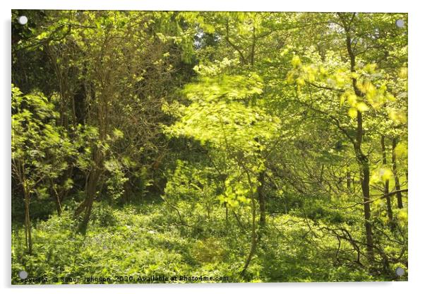 Spring green, stiff breeze, strong sunlight Acrylic by Simon Johnson
