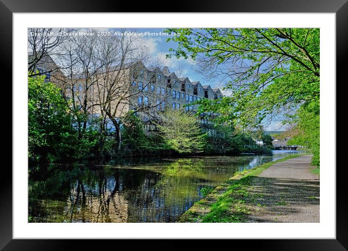 Leeds and Liverpool Canal Bingley  Framed Mounted Print by Diana Mower