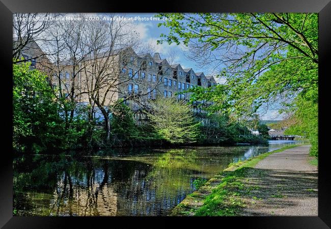 Leeds and Liverpool Canal Bingley  Framed Print by Diana Mower