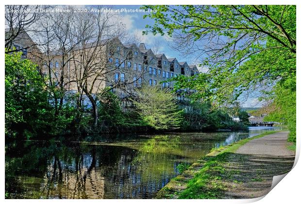 Leeds and Liverpool Canal Bingley  Print by Diana Mower