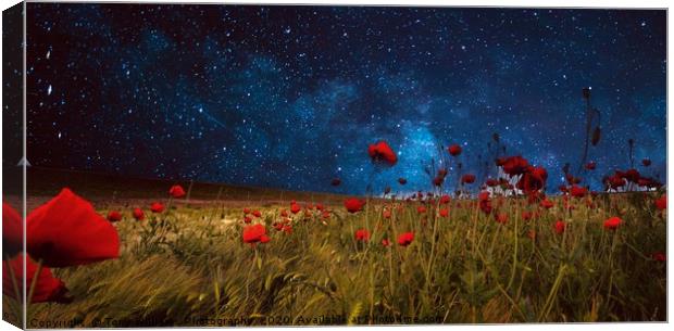 We will remember you. Canvas Print by Tony Williams. Photography email tony-williams53@sky.com
