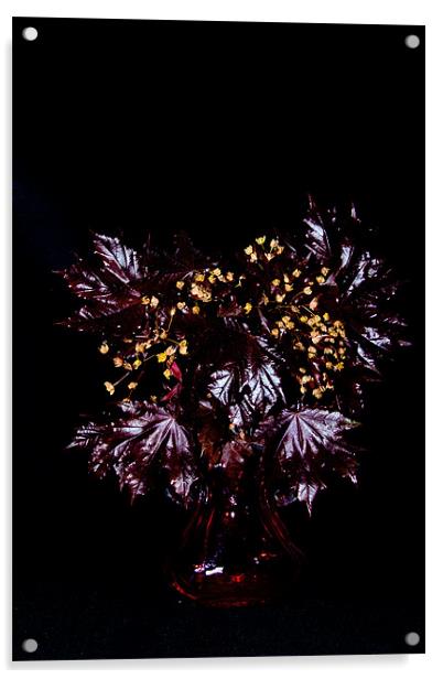 Acer platanoides 'Crimson King' Acrylic by Dawn O'Connor