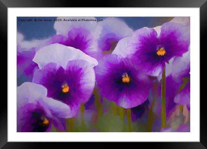 Artistic Purple Pansies. Framed Mounted Print by Jim Jones