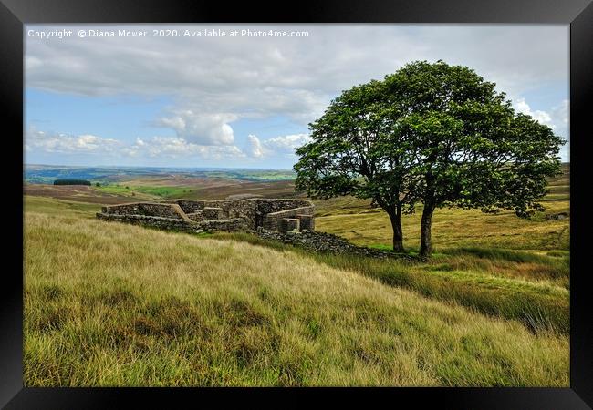 Top Withens Farmhouse Ruins Framed Print by Diana Mower