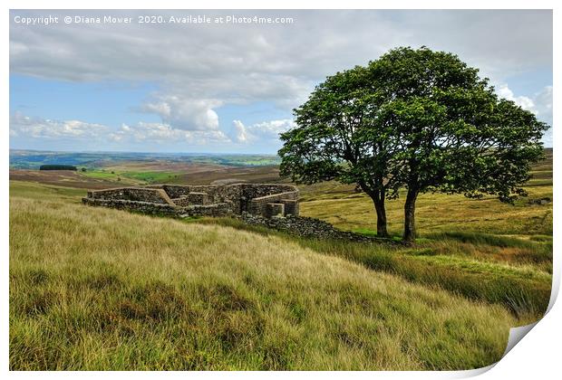Top Withens Farmhouse Ruins Print by Diana Mower