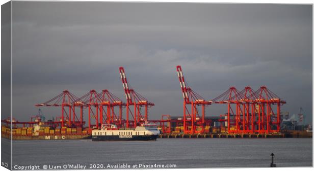 Red Cranes at the Port of Liverpool Canvas Print by Liam Neon