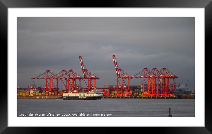 Red Cranes at the Port of Liverpool Framed Mounted Print by Liam Neon