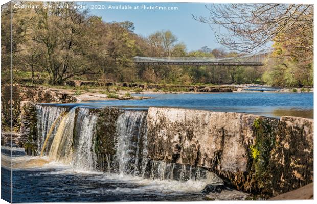 Whorlton Bridge and The River Tees in Spring Canvas Print by Richard Laidler