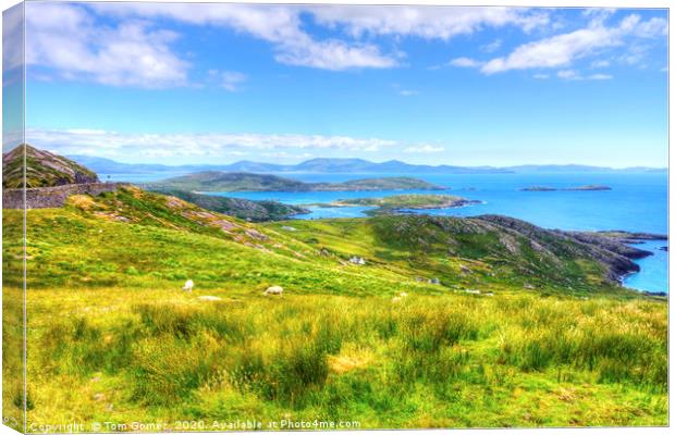 View across Kenmare Bay Canvas Print by Tom Gomez