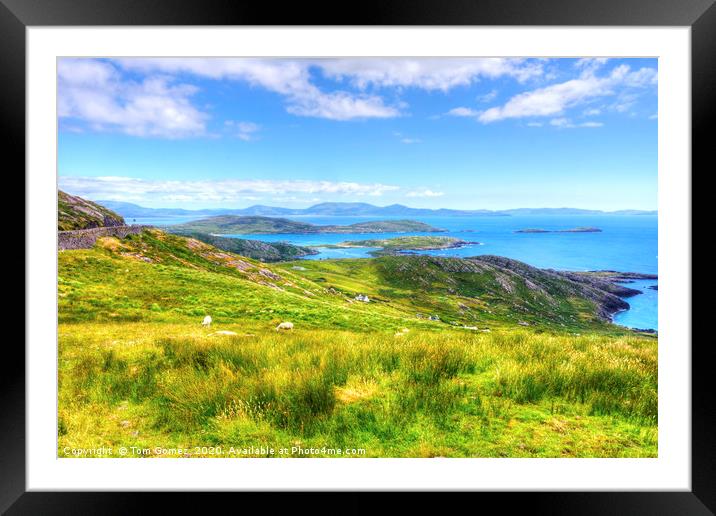 View across Kenmare Bay Framed Mounted Print by Tom Gomez