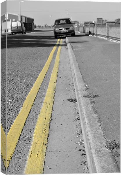 Double Yellows Canvas Print by Daniel Gray