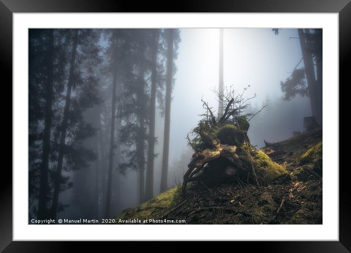 Tree stump in fog Framed Mounted Print by Manuel Martin