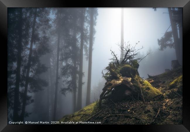Tree stump in fog Framed Print by Manuel Martin