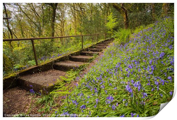 The Hundred Steps, Coedalltacham, Pontardawe, Wale Print by Dan Santillo