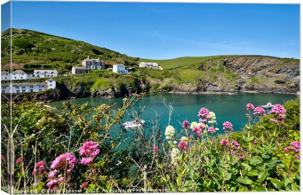 Port Isaac in North Cornwall Canvas Print by Rosie Spooner