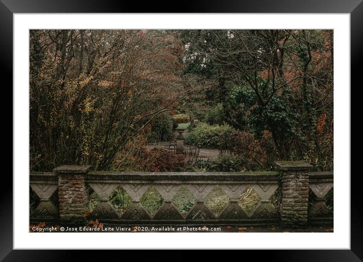 Courtyard Botanical Gardens Framed Mounted Print by Eduardo Vieira