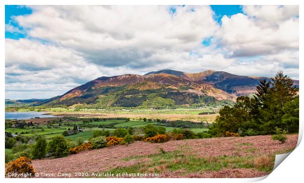 Skiddaw Print by Trevor Camp