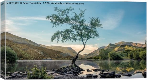 The lone tree Canvas Print by Alan Tunnicliffe