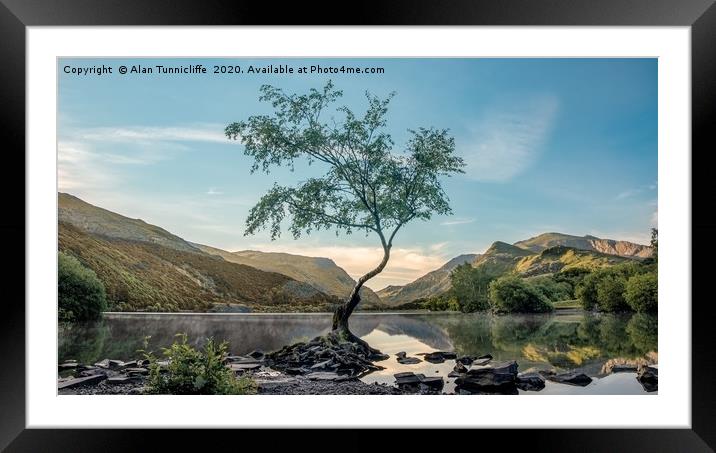 The lone tree Framed Mounted Print by Alan Tunnicliffe