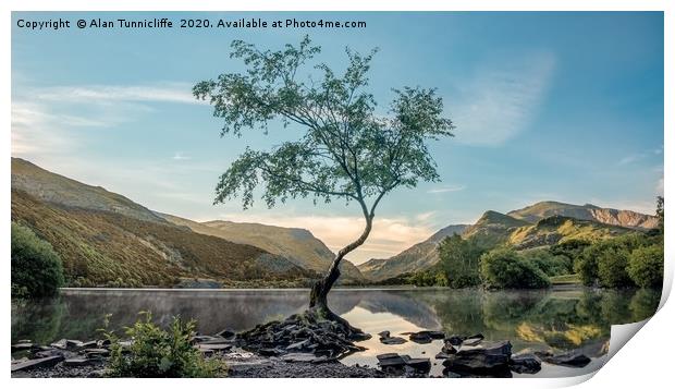 The lone tree Print by Alan Tunnicliffe