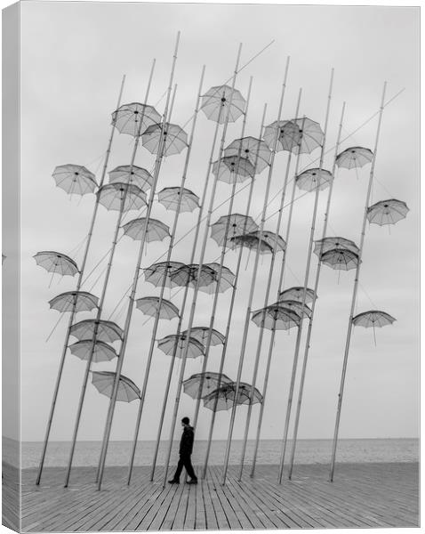 So Many Umbrellas Canvas Print by Caroline Claye