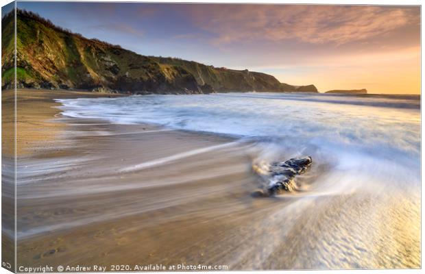 Late light at Polurrian Cove Canvas Print by Andrew Ray