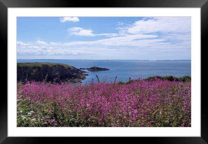 Caerfai Bay looking over St Brides Bay Framed Mounted Print by Bill Moores