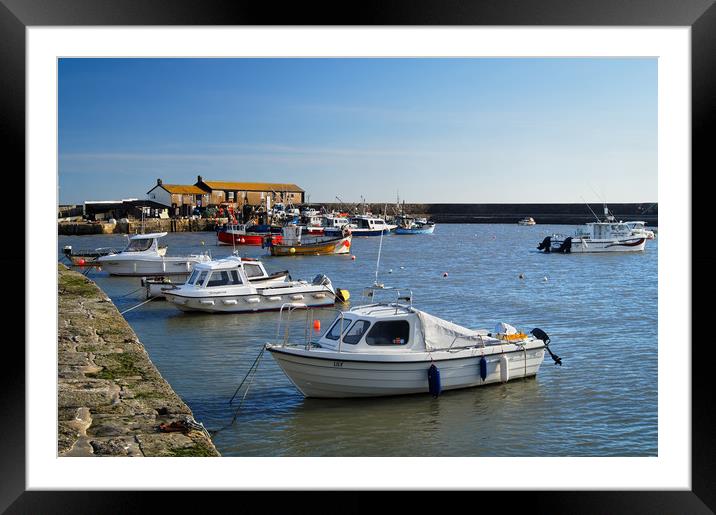 Lyme Regis Harbour                      Framed Mounted Print by Darren Galpin