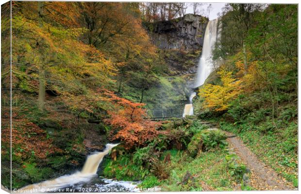 Autumn colour at Pistyll Rhaeadr. Canvas Print by Andrew Ray