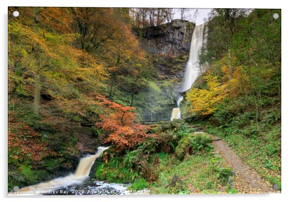 Autumn colour at Pistyll Rhaeadr. Acrylic by Andrew Ray