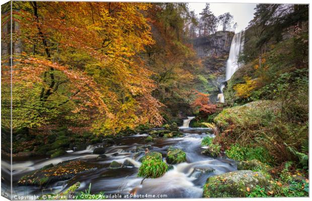 Autumn at Pistyll Rhaeadr Canvas Print by Andrew Ray