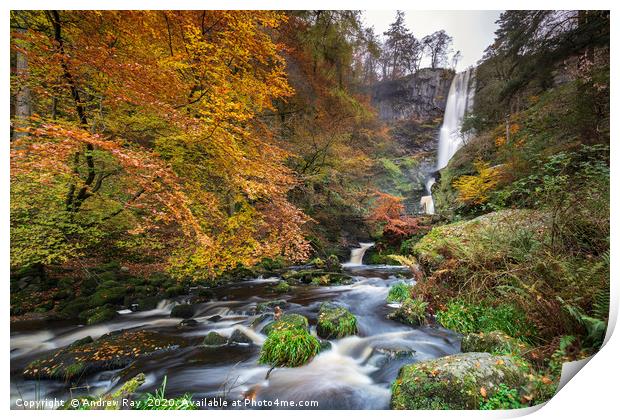 Autumn at Pistyll Rhaeadr Print by Andrew Ray