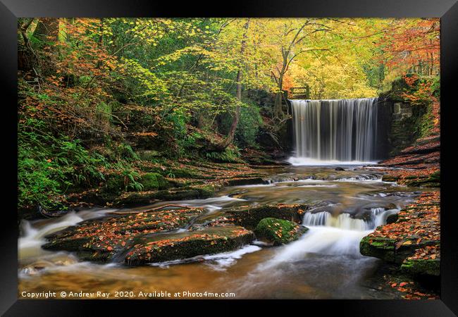 Waterfall at Nant Mill Framed Print by Andrew Ray