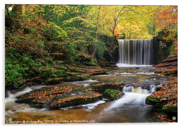 Waterfall at Nant Mill Acrylic by Andrew Ray