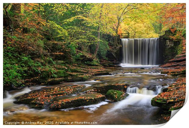 Waterfall at Nant Mill Print by Andrew Ray