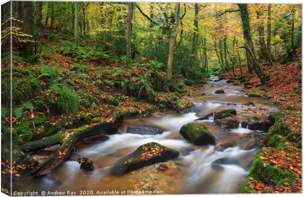 River in Nant Mill Wood Canvas Print by Andrew Ray